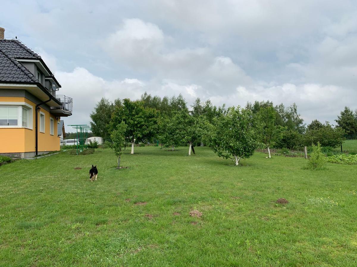 Agroturystyka Nad Wielkim Szelagiem Stare Jabłonki Exterior foto